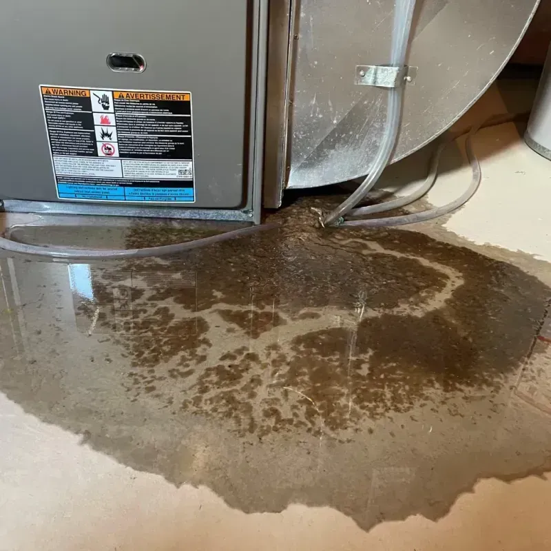 Appliance Leak Cleanup in Broad Creek, NC